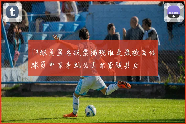 TA球员匿名投票揭晓谁是最被高估球员申京夺魁戈贝尔紧随其后